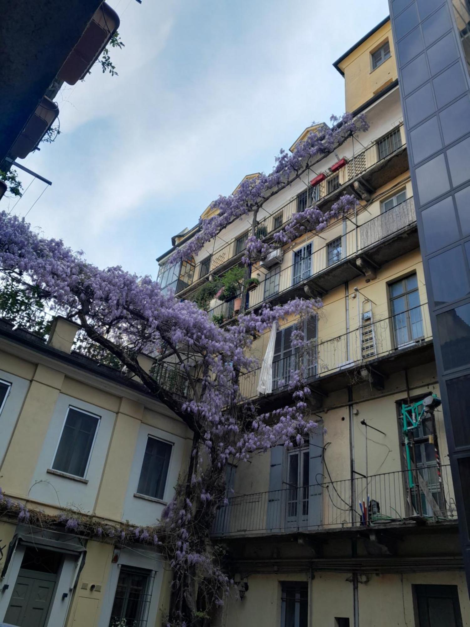 Alloggio Torino Inquadro Exterior photo